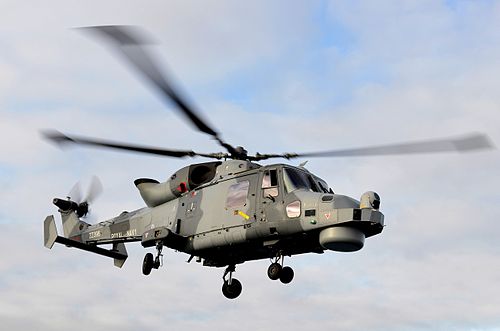 Wildcat HMA2